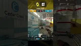 MUTIRIS is just TOO GOOD