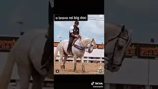 rei big doc