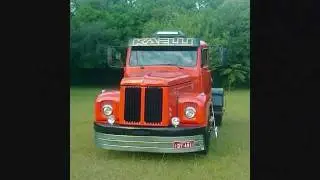 SCANIA JACARÉ 111