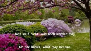 Schubert - 