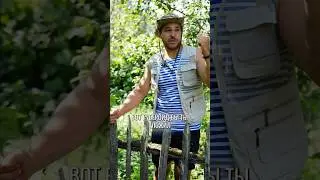 ЗАЧЕМ СТОЛЬКО ПЛЕНОК В КАРКАСНОМ ДОМЕ ? #загородка #reebaz #рибаз