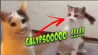 Calypsooooo  kkkkk - DESAFIO TENTE NÃO RIR
