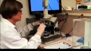 67 TM Virusy Inaja zhizn' 11 10 2012 d