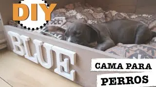 DIY | HOW TO MAKE A PET BED FOR DOGS O CATS