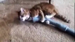 ЗАЦЕНИ!!! НЕ КЛИКБЕЙТ!!! Шок - смотреть всем!