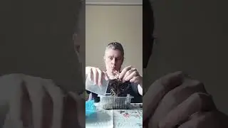 30 июня 2024 г.