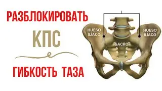 Flexibility of the pelvis / Exercises for the sacroiliac joint
