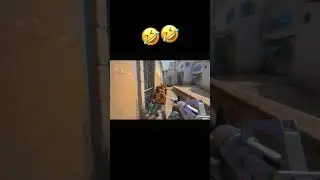 CS : GO Funny Moment | CS : GO | #csgo #funnygaming #csgoclips #csgohighlights #csgomoments #cs2