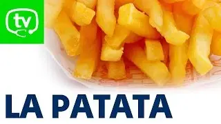 Propiedades nutritivas de la patata
