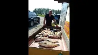 Ловля капра на шоколад и мед