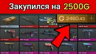 СОБРАЛ инвентарь за 2500 ГОЛДЫ!!! | Закуп на 2500 голды в Standoff 2
