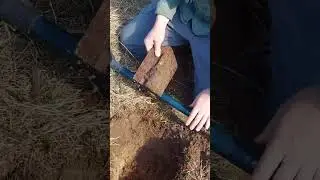 находка из блиндажа