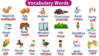 Kids Vocabulary - Vocabulary Words for Kids - Learning Videos for Kids - English Educational Video