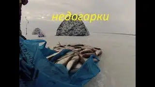 ловля плотвы на Кременчугском  водохранилище