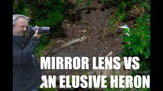 I Finally Found the Elusive Heron... With the Most Challenging Lens