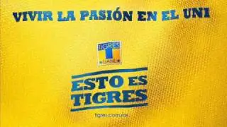 tigres 2012 Cancion-campeon