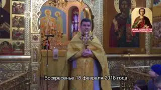 Воскресная проповедь иерея Димитрия Ваулина_18 февраля 2018