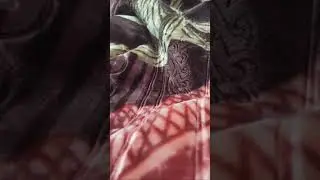 فضيحة ندى حاسي لا لا هاذ الشي بزاف
