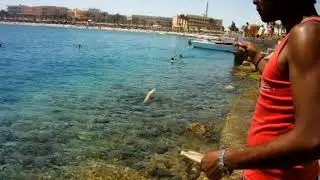 Ловля кальмаров на Красном море.