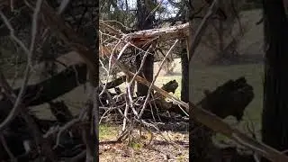 It's Turkey Season 🦃