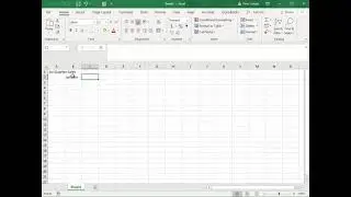 Microsoft MS Office Excel basics: text values autosum borders formatting