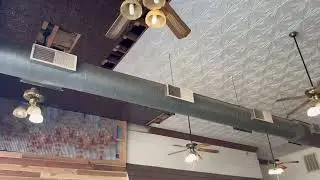 Fans Galore Shorts - 2024 Remake: Moss Heirloom Deluxe Ceiling Fans.