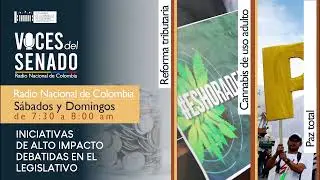 Iniciativas de alto impacto para el país I #VocesDelSenado 17 de diciembre