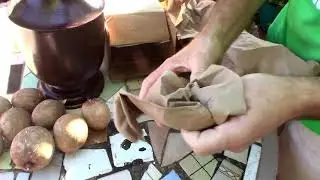 Sapodillas (nisperos) Chiko from Lara Farms -buy tropical fruits online