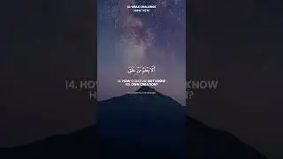 Surat Al-Mulk Challenge | Verse 14 | Memorize One Verse Each Day