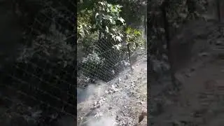 Nüseybe Bulut hanımın bahçesinden bir sonbahar günü..