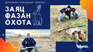 ОХОТА на ЗАЙЦА и ФАЗАНА в Ноябре 2021