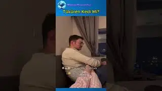 Tüküren Kedi Mi Olur Ya! 😻