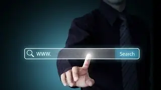 Which Search Engines Are The Most Popular