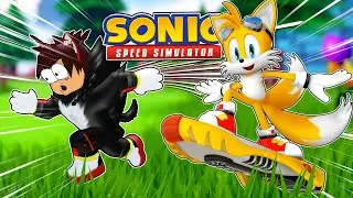 IS TAILS RIDERS COMING TO SONIC SPEED SIMULATOR?