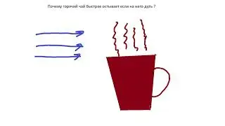 Почему горячий чай быстрее остывает если на него дуть ?
