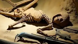 What Scientists Just Discovered in a Switzerland Museum Shocks Them