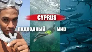 Жизнь на Кипре и другая его подводная сторона