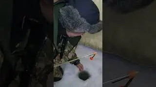 ГИГАНТСКАЯ САЙДА ЗИМОЙ НА МОРЕ СО ЛЬДА