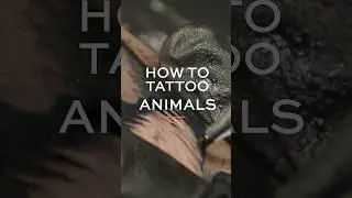 How to improve tattoo skills 