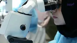 Mastery Academy - Endodontics Program