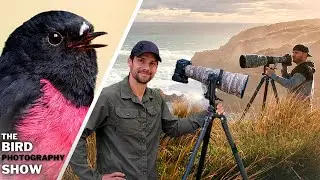Photography LIES PRO's IGNORE And YOU Should Too!