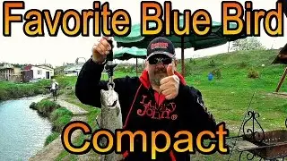 Обзор после теста  Favorite Blue Bird Compact BBC 634UL TS. Впечатления после активной ловли.