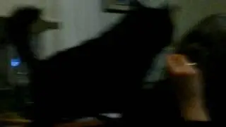 Trix