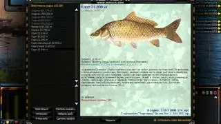 Atom fishing мировой рекорд карпа