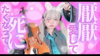 【バイオリンで弾いてみた】ラビットホール - DECO*27