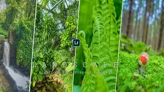 Lightroom Presets DNG & XMP Free Download | Nature Preset | Lightroom Mobile Tutorial