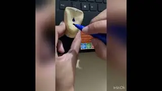 Anatomical structure of tooth