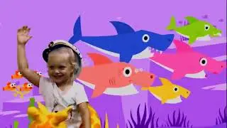 Baby Shark Animal Songs Songs for Children ¦ Songs Baby Shark Nursery Rhymes Songs