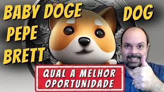 MELHOR OPORTUNIDADE  BABY DOGE + DOG + BRETT + DEGEN + PEPE