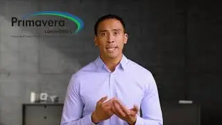 Affordable Project Controls Experts For Hire On Your Team